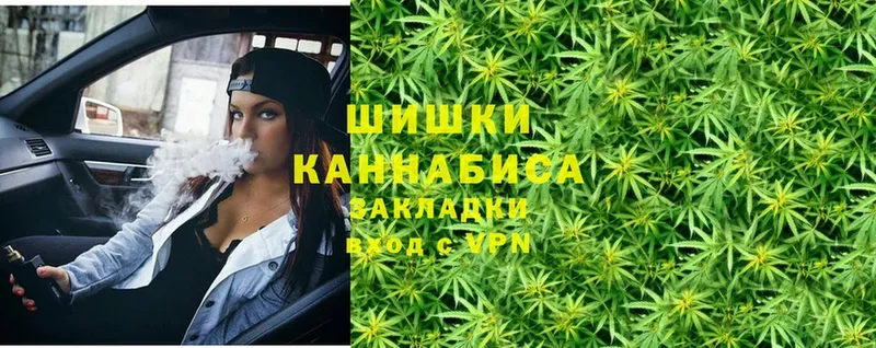 Каннабис White Widow  Кисловодск 